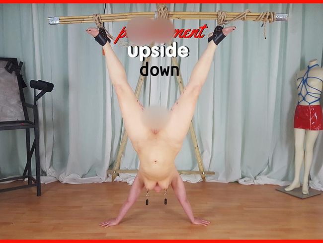 YvetteXtreme Porno Video: Upside Down Predicament